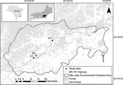 Predicting the impacts of palm heart and fruit harvesting using Integral Projection Models